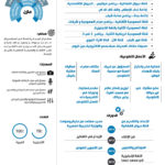 سيرة ذاتية انفوجرافيك الوان رسمية عربي او انجليزي
